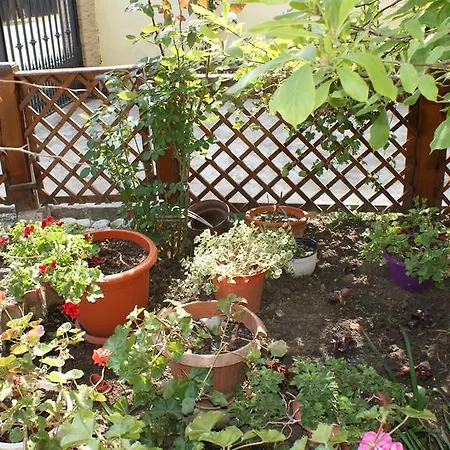 Casa Stoicescu *