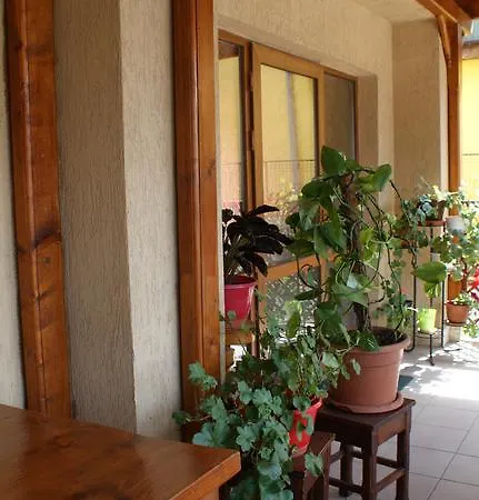 Casa Stoicescu 3* Costinesti