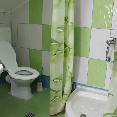 Casa Stoicescu Guest house *